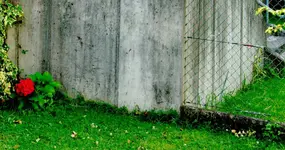 zaun.webp