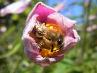 035.webp