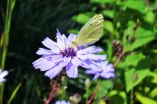 DSCF6931 (2).webp