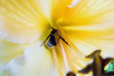 DSCF6935 (2).webp