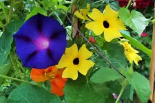 DSCF6920 (2).webp