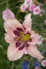 IMG_4580.webp