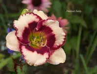 IMG_4626-2.webp