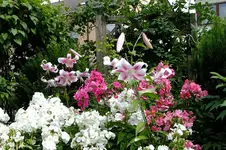 2016_07233april20160026.webp