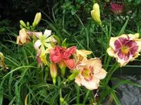 001_1024x768.webp