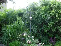 CIMG0520.webp