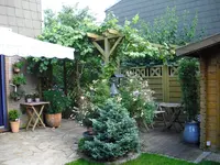 CIMG0523.webp