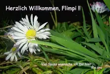 August 2009 010.webp