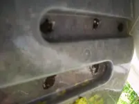 IMGP5175.webp