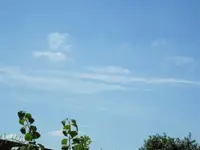 06.08.2009 004.webp