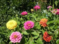 DSCN3787.webp