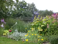 Garten Aug.09 1 008.webp