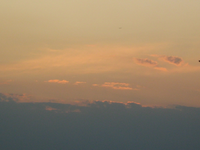 IMG_2348.webp