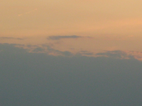 IMG_2349.webp