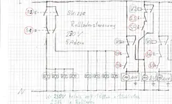 rollo.webp