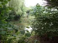 100_2424_600_450.webp