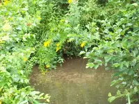100_2460_600_450.webp