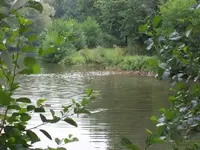 100_2464_600_450.webp
