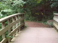 100_2468_600_450.webp