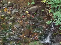 100_2472_600_450.webp