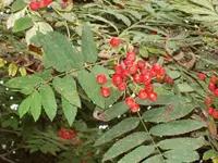 100_2479_600_450.webp