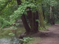 100_2480_600_450.webp