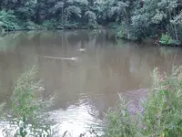 100_2489_600_450.webp