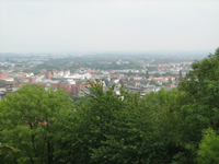 IMG_2357.webp