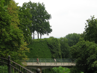 IMG_2364.webp