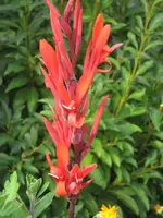 garten 09 002.webp