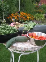 garten 09 008.webp