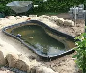 der Große in Waage_klein.webp