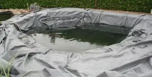 Wasser steigt1_klein.webp