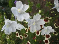 IMG_7028.webp