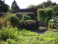 Bild 005a.webp