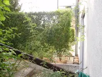 P8091180.webp