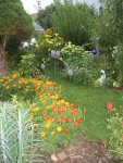 garten 09 008.JPG