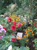 garten 09 011.webp