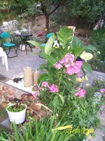 100_2024.webp