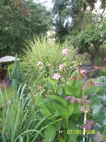 100_2025.webp