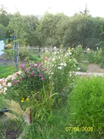 100_2026.webp