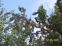 100_2030.webp