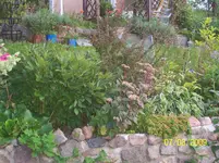 100_2032.webp