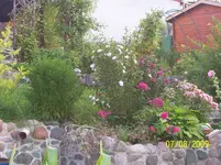 100_2033.webp