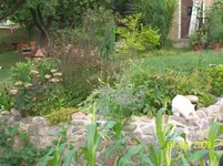 100_2034.webp