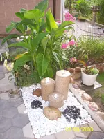 100_2038.webp