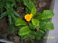 100_2039.webp