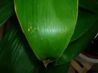 DSCN2120.webp