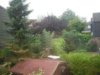 CIMG0663.webp