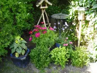 CIMG0417.1.webp